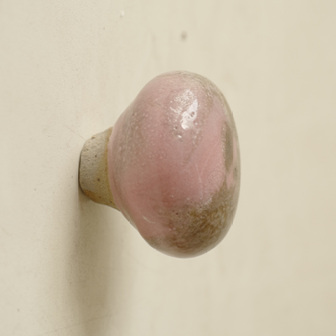 DK31-2