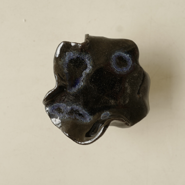 BLACK-FUNGI-02