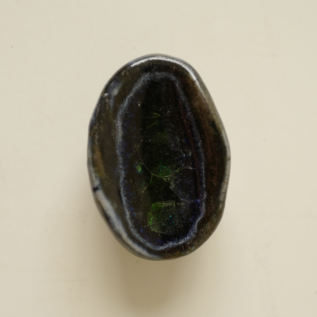 BLACK-FUNGI-01